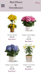 Mobile Screenshot of birdnestflorist.net